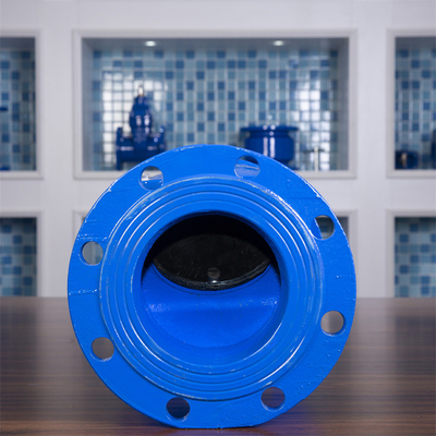 شیر چک فلپ لاستیکی GGG50 GGG40 PN10 DN600 QT450 نوع چرخش شیر غیر برگشت