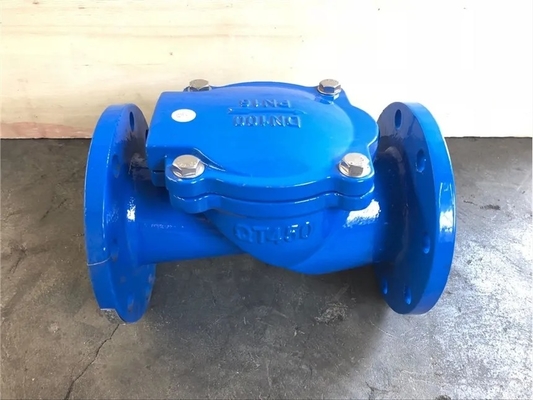 PN16 QT400 لاستیک فلپر سوپاپ بررسی
